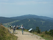 Wandern im Schwarzwald