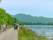 Radfahren am Altrhein