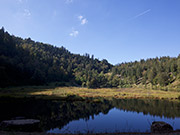 Nonnenmattweiher