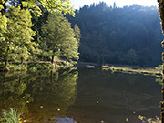 Nonnenmattweiher